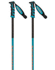 Rossignol Freeride Pro Telescopic Poles