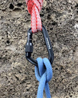 Black Diamond Hotforge Screwgate Carabiner - 3 Pack