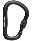 Black Diamond Rocklock Screwgate Carabiner