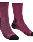Bridgedale Women's Hike Lightweight Merino Performance Boot Socks (Berry)