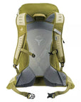 Deuter AC LITE 24L Hiking Backpack (Linden/Cactus) back