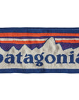 Patagonia Powder Town Headband