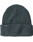 Patagonia Fisherman's Rolled Beanie (Nouveau Green)