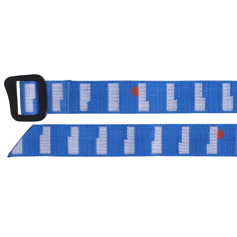 Patagonia Friction Belt (Water People Horizon: Vessel Blue) - Close