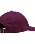 Patagonia P-6 Label Trad Cap (Night Plum) back angle