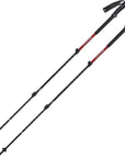 Black Diamond Trail Back Trekking Poles - Octane