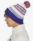 Patagonia Powder Town Beanie (Park Stripe/Viking Blue)
