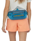 Patagonia Black Hole Waist Pack 5L (Anacapa Blue)