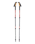Black Diamond Trail Ergo Cork Trekking Poles (Picante)