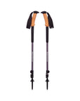 Black Diamond Trail Ergo Cork Trekking Poles (Granite)