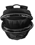Patagonia Altvia Pack 22L
