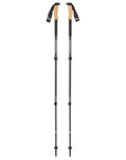 Black Diamond Alpine Carbon Cork Trekking Poles (No Label)