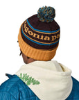 Patagonia Powder Town Beanie