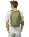Patagonia Refugio Daypack 26L (Buckhorn Green) model