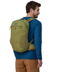 Patagonia Terravia 22L Backpack (Buckhorn Green) model back