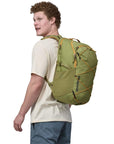 Patagonia Refugio Daypack 30L (Buckhorn Green) model back