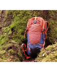 Vango Apex 15L Day Pack (Harissa) bag alone on tree