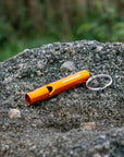 Lifesytems Mountain Whistle on a rock