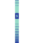 Scott Koko Ski Poles (Mint Green) close up