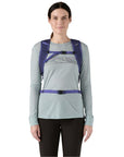 Patagonia Terravia Pack 14L - Medium (Solstice Purple)