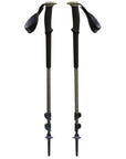 Black Diamond Trail Trekking Poles (Pine Smoke)
