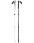Black Diamond Trail Trekking Poles (Pine Smoke) long