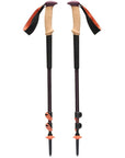 Black Diamond Trail Cork Trekking Poles (Fig)