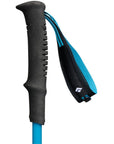 Black Diamond Distance Carbon FLZ Trekking/Running Poles 110cm (Desert Sky) strap