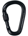 Black Diamaond Pearlock Screwgate Carabiner (Black) angle