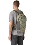 Patagonia Terravia Pack 22L (River Rock Green) back