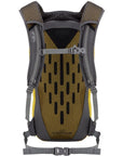 Rab Tygen 12L Day Pack (Dark Pollen) back