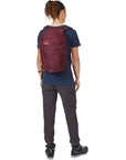 Lowe Alpine Edge 18L Day Pack (Deep Heather) back model