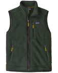 Patagonia Men's Retro Pile Fleece Vest (Old Growth Green)