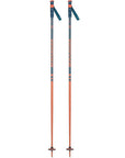 Rossignol Stove Ski Poles (Teal/Brick)