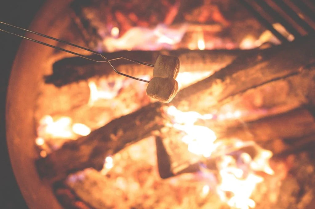 Reasons to book a Family Camping Staycation Holiday