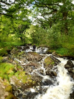 Loch Trool Galloway Forest Park