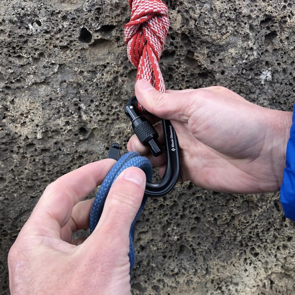 Black Diamond Hotforge Screwgate Carabiner - 3 Pack