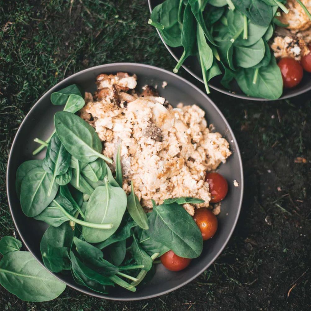 Lifeventure Titanium Plate food
