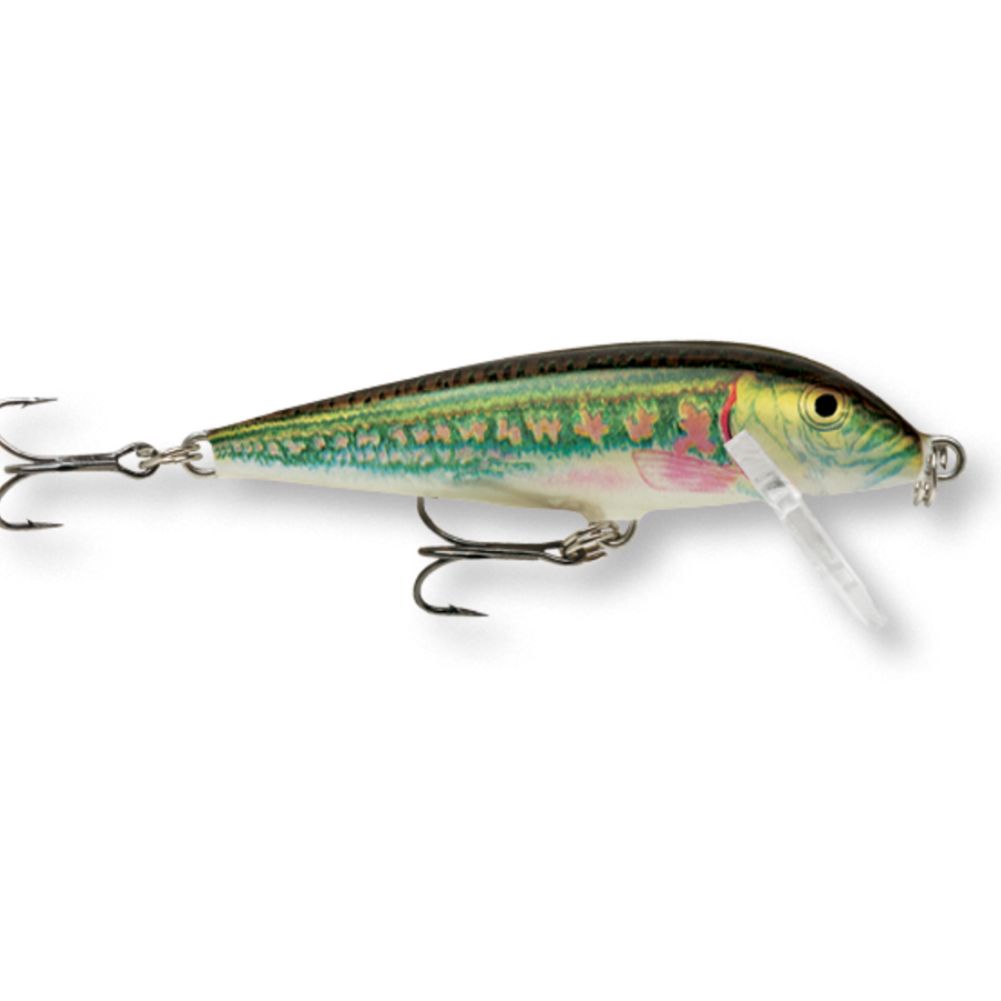 Rapala Countdown Sinking Lure 5cm - 5g
