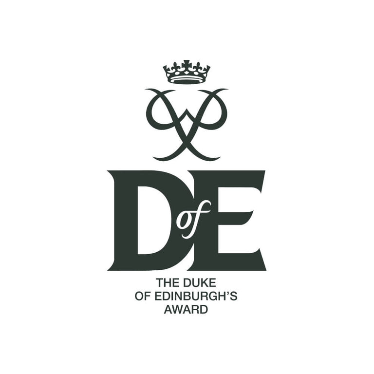 Scarpa Men's Rush 2 Pro GTX Hiking Shoes (Titanium/Ocean) – Summits Outdoor