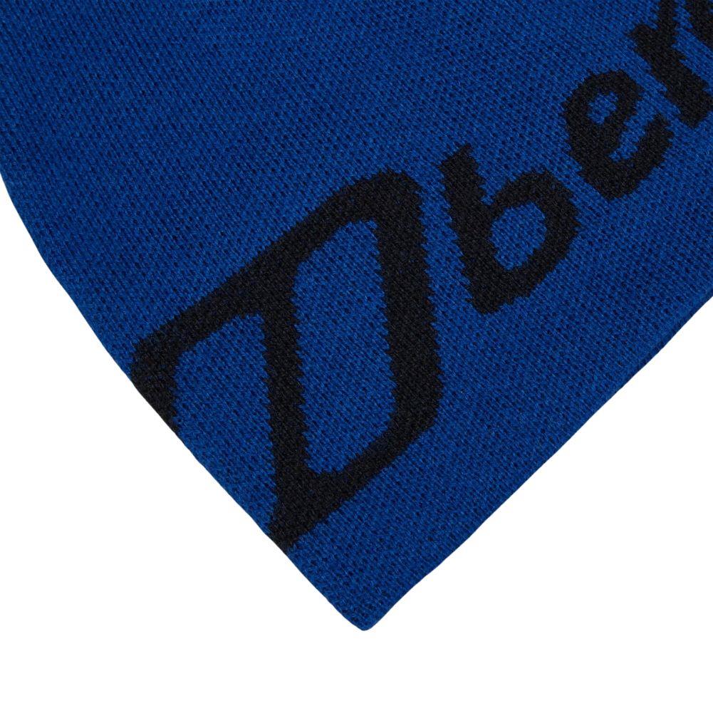 Berghaus Blocks Beanie (Blue/Black) corner