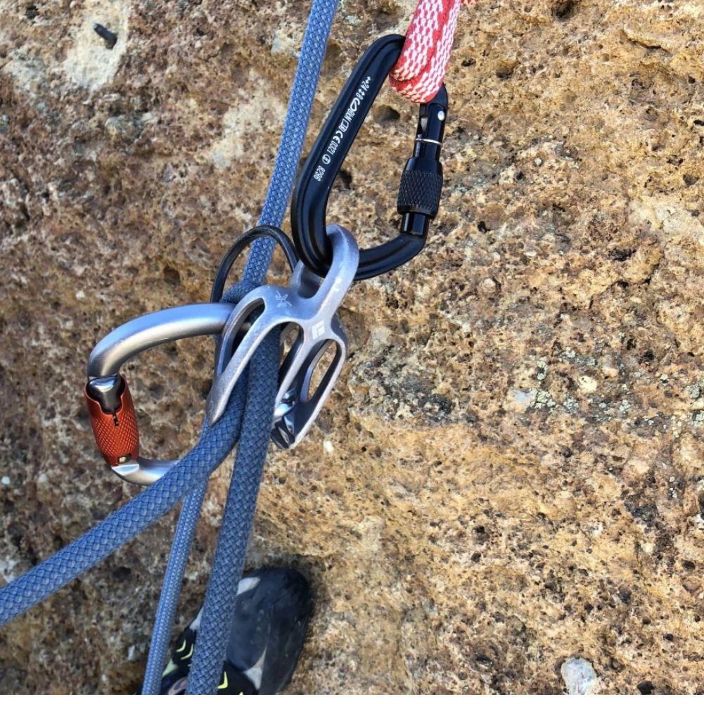 Black Diamond Hotforge Screwgate Carabiner (Grey) roped