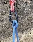 Black Diamond Hotforge Screwgate Carabiner (Black) rope