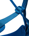Black Diamond Men's Momentum Harness (Kingfisher) buckle