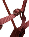 Black Diamond Women's Momentum Harness (Baja Sunrise)buckle