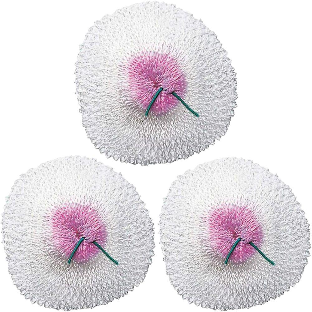 Silva Primus Lantern Mantle Replacements