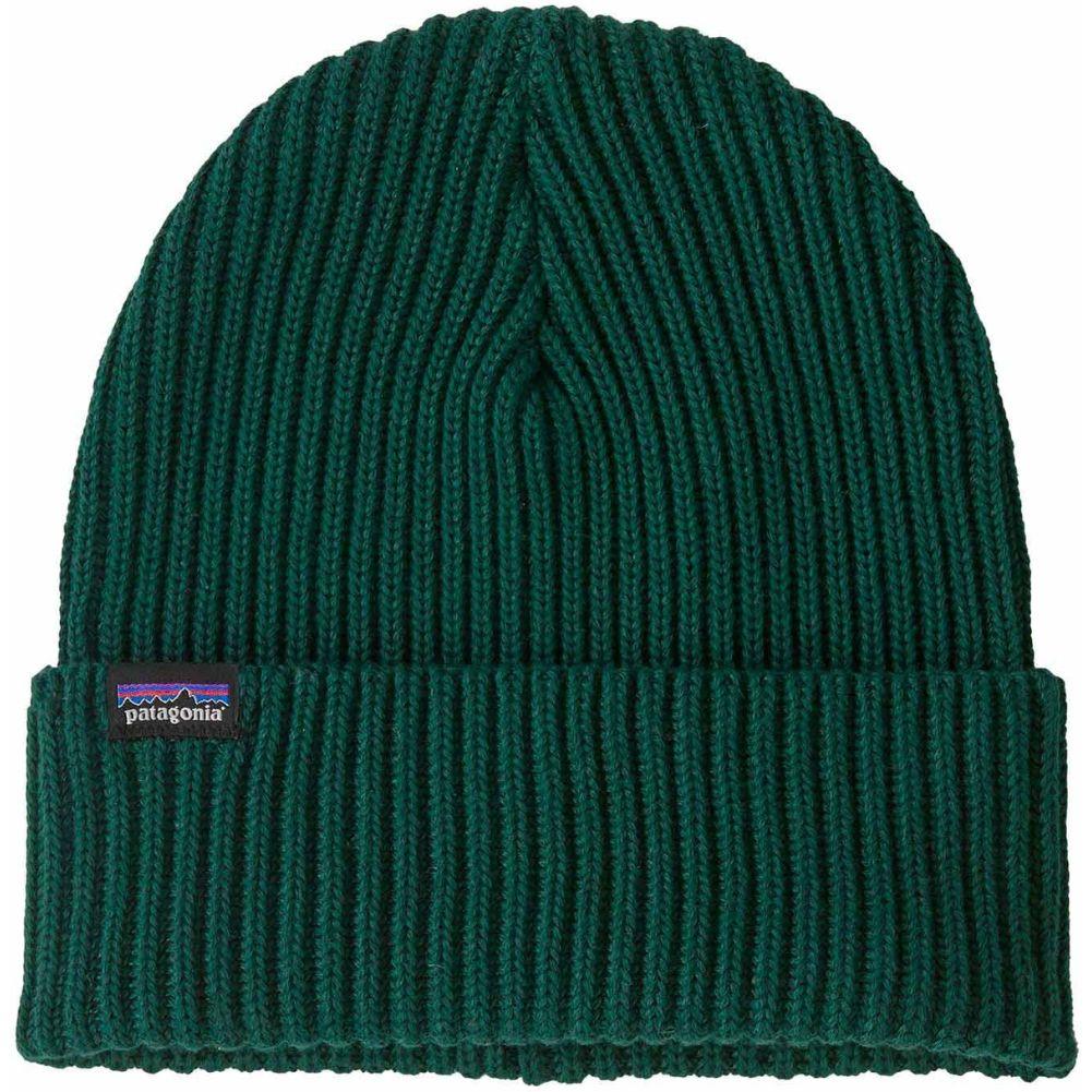 Patagonia Fisherman's Rolled Beanie (Cascade Green)