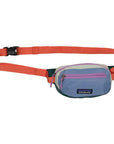 Patagonia Terravia 1L Mini Hip Pack (Patchwork: Barnacle Blue) long