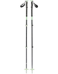 Black Diamond Expedition 3 Ski Poles - 140cm (Desert Sage)