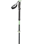 Black Diamond Expedition 3 Ski Poles - 125cm (Desert Sage)